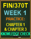 FIN/370T Week 1 Practice: Chapter1 and Chapter 3 Knowledge Check